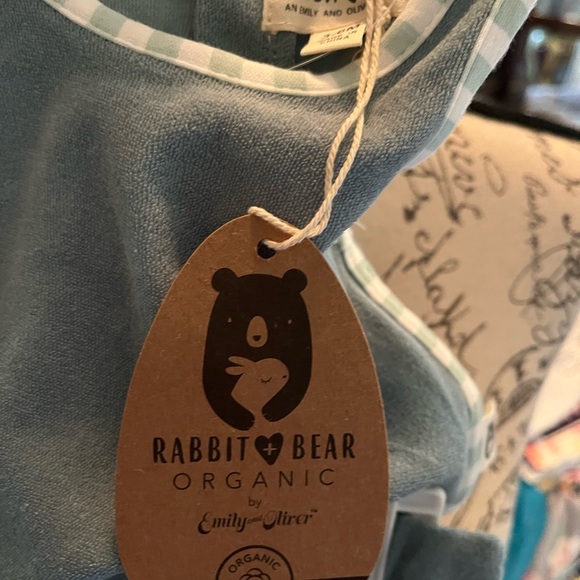 Rabbit bear organic cute light teal nwt size 3-6 months - Picture 2 of 3